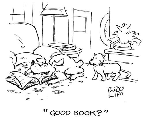 'Good book?'