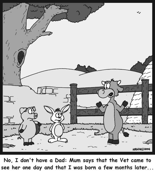 No, I don't have a Dad: Mum says that the Vet came to see her one day and that I was born a few months later...'