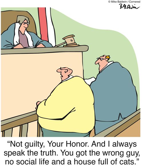 'Not guilty, Your Honor. And I always speak the truth. You got the wrong guy, no social life and a house full of cats.'