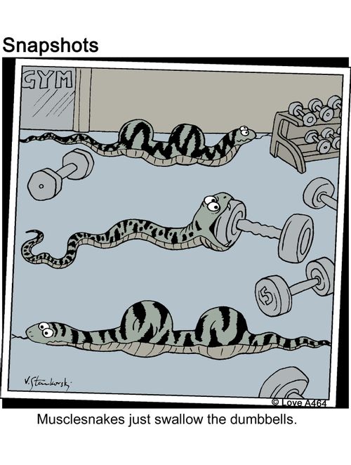 Musclesnakes just swallow the dumbbells.