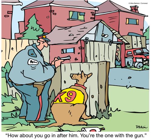 "How about you go in after him. You're the one with the gun."