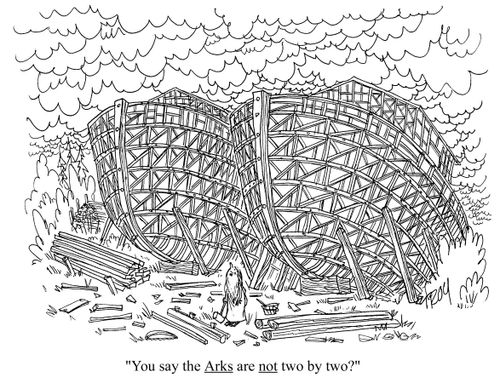 'You say the ARKS are NOT two by two?'