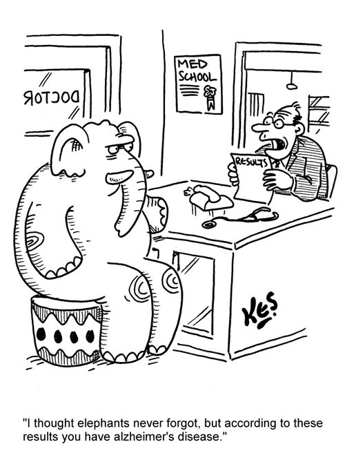 'I thought elephants never forgot, but according to these results you have alzheimer's disease.'