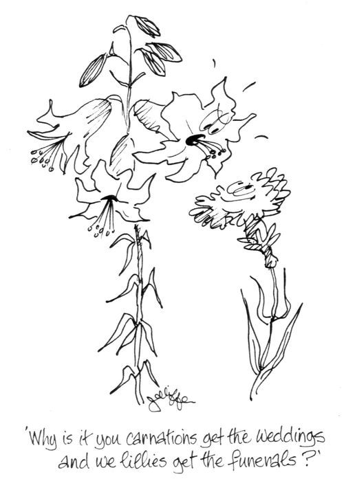 'Why is it you carnations get the weddings and we lillies get the funerals!'