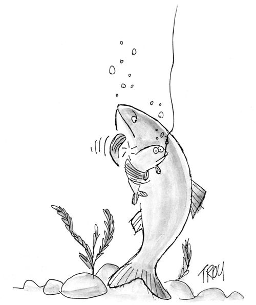 Baby fish.