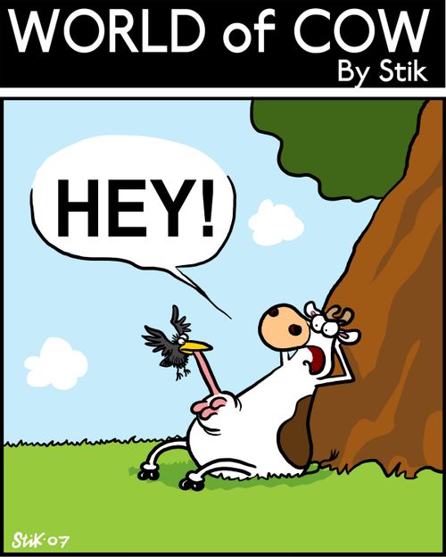 "HEY!" (Bird mistakes udder for a worm).