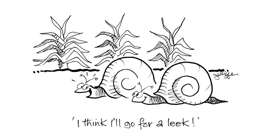'I think I'll go for a leek!'