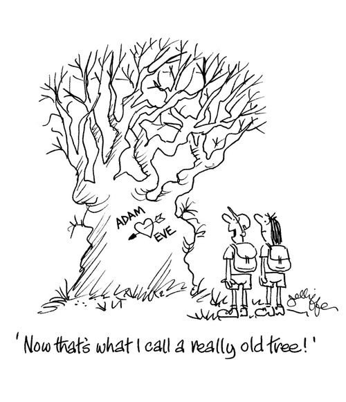 'Now that's what I call a really old tree!'