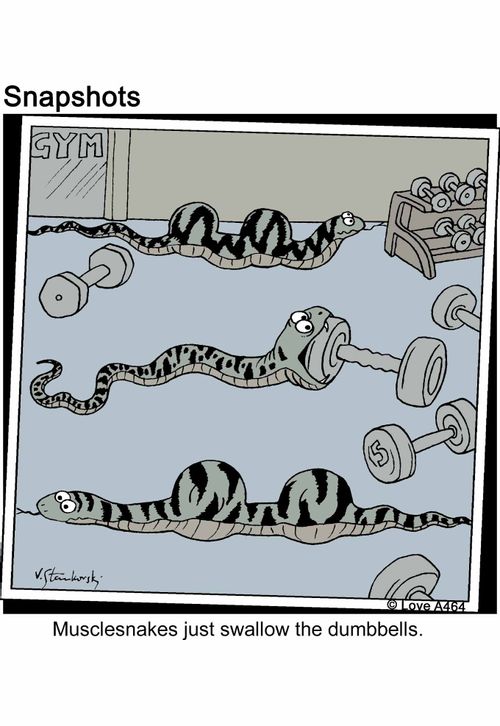 Musclesnakes just swallow the dumbbells.