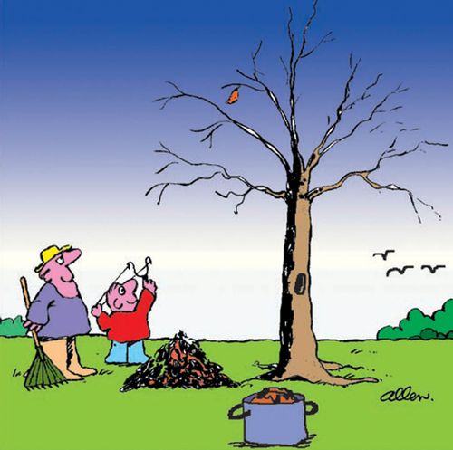 Boy with sling shot trying to knock down the last leaf on a tree.