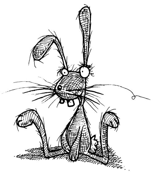 Hairy Hare the Rabbit.