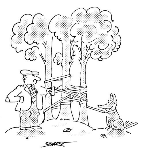 Walking The Dog.