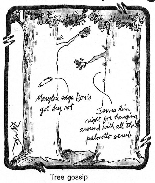 Tree gossip.