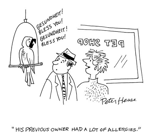 'His previous owner had a lot of allergies.'