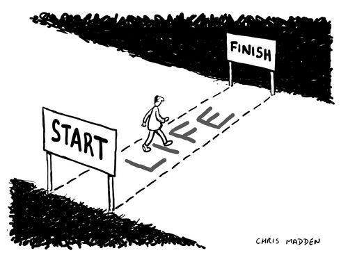 Life - from start to finish