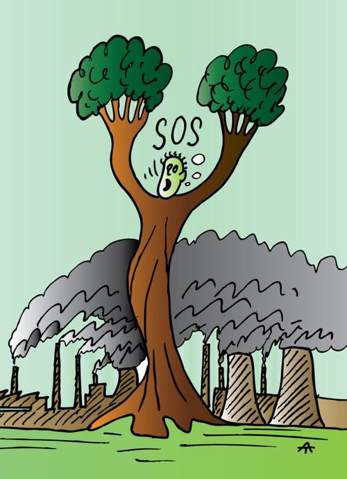 The Tree's SOS