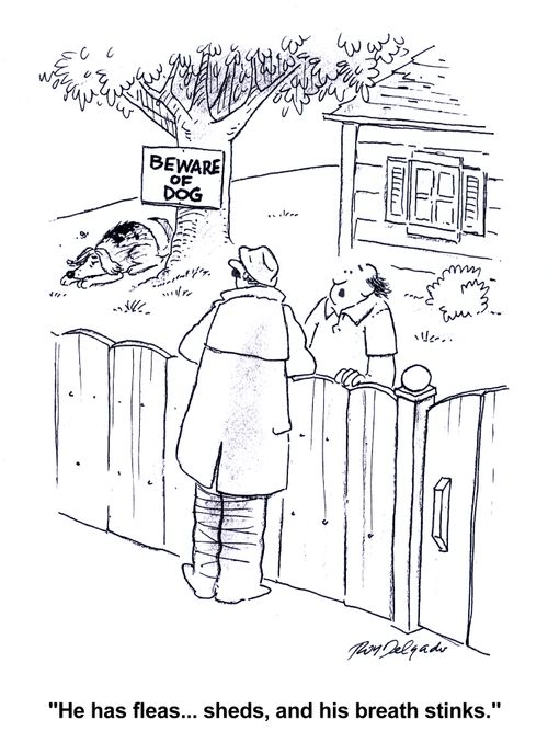 'He has fleas... sheds, and his breath stinks.'