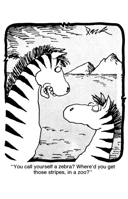 'You call yourself a zebra? Where'd you get those stripes, in a zoo?'