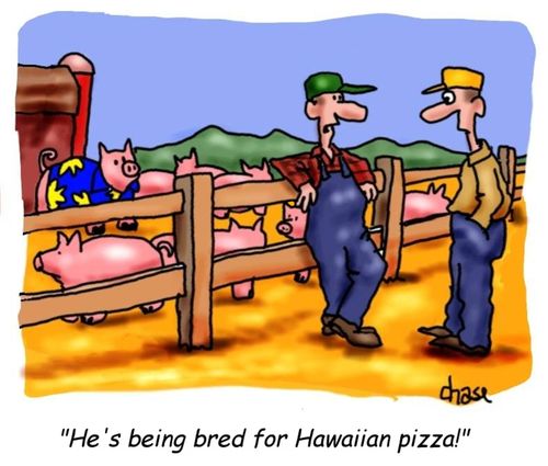 "He's being bred for Hawaiian pizza!"