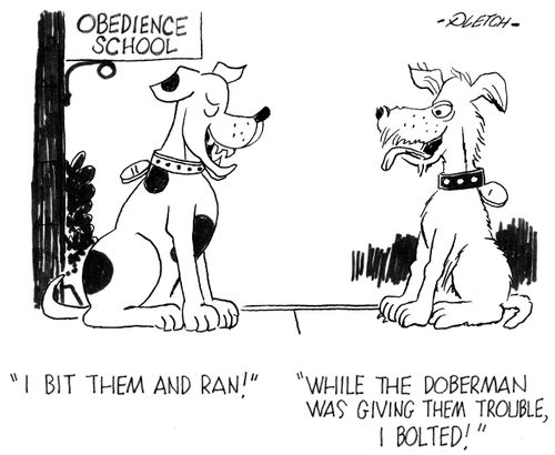 'I bit them and ran!' 'While the Doberman was giving them trouble, I bolted!'