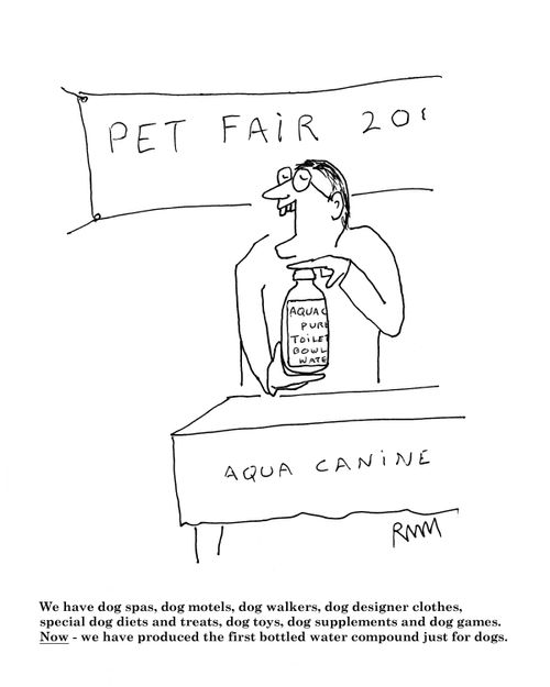We have dog spas, dog motels, dog walkers, dog designer clothes...