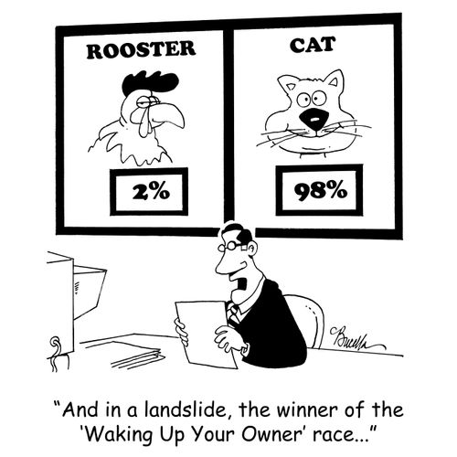 'And in a landslide, the winner of the 'Waking Up Your Owner' race...'