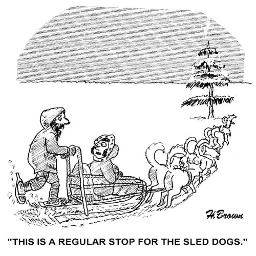 'This is a regular stop for the sled dogs.'