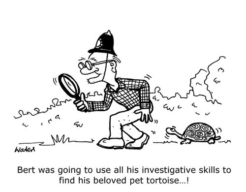 Bert was going to use all his investigative skills to find his beloved pet tortoise...!