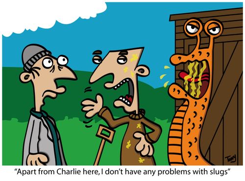 'Apart from Charlie here, I don't have any problems with slugs'