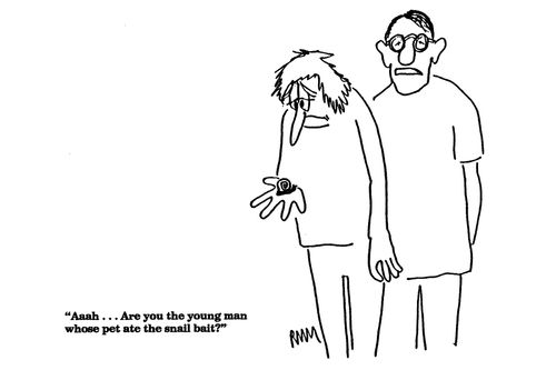 'Aaah...Are you the young man whose pet ate the snail bait?'