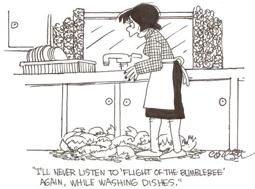 'I'll never listen to 'Flight of the Bumblebee' again, while washing the dishes.'