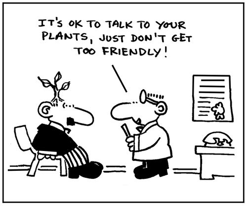 'It's ok to talk to your plants, just don't get too friendly.'