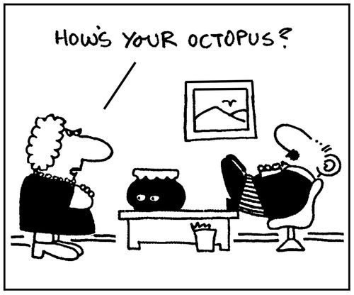 'How's your octopus?'
