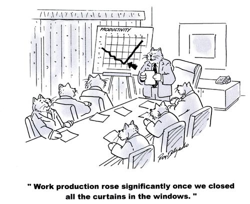 'Work production rose significantly once we closed all the curtains in the windows.'