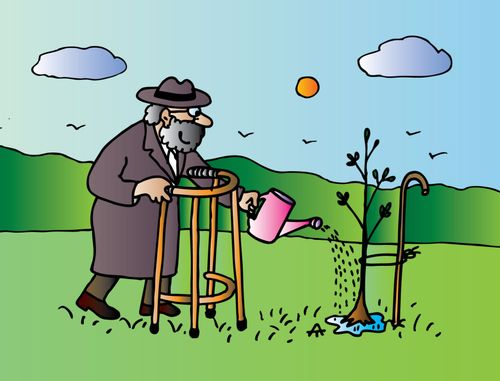 Old man with zimmer frame waters tree being supported by a walking stick.