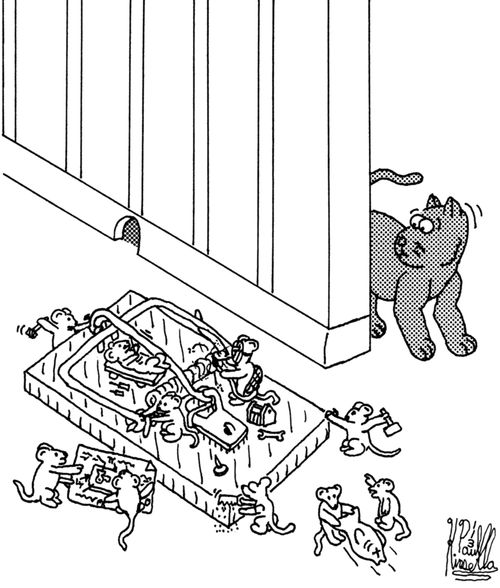 Mice building a huge trap.
