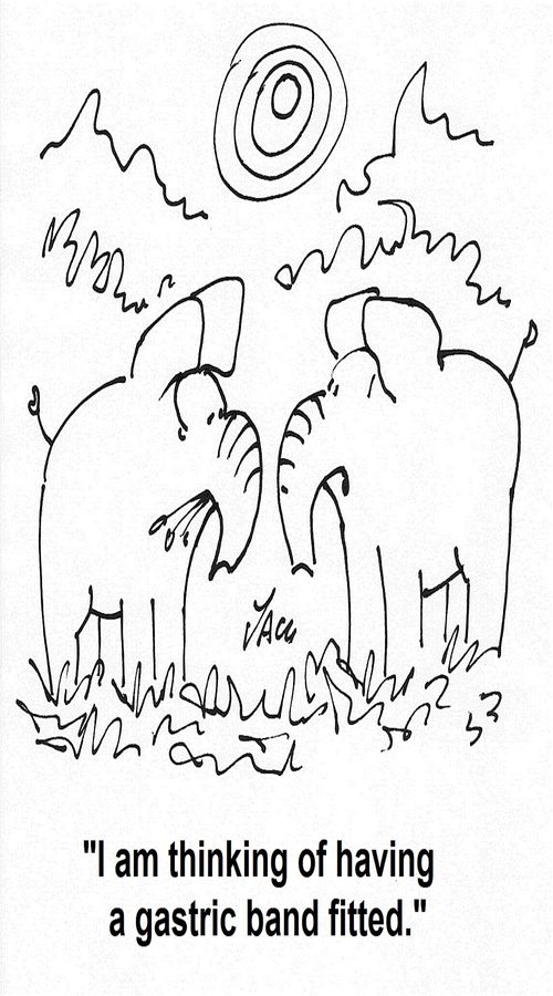 'I am thinking of having a gastric band fitted.'