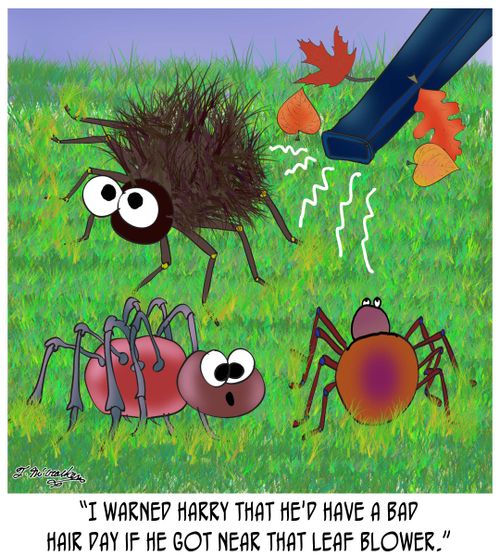 'I warned Harry that he'd have a bad hair day if he got near that leaf blower.'