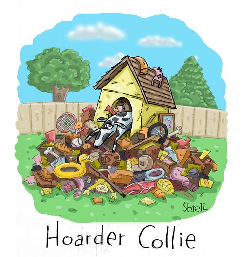 Hoarder Collie