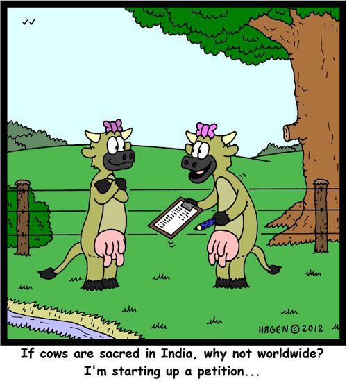 'If cows are sacred in India, why not worldwide? I'm starting up a petition...'