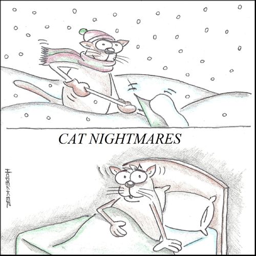 Cat Nightmares