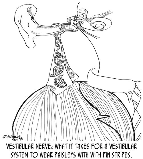 Vestibular Nerve: What it takes for a Vestibular System to wear paisleys with with pin stripes.