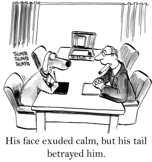His face exuded calm, but his tail betrayed him.