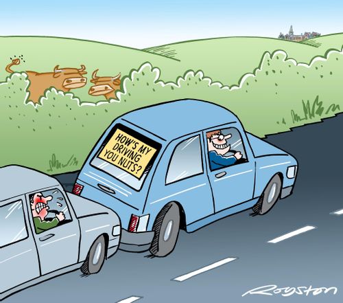 Sticker: 'How's my driving you nuts?'