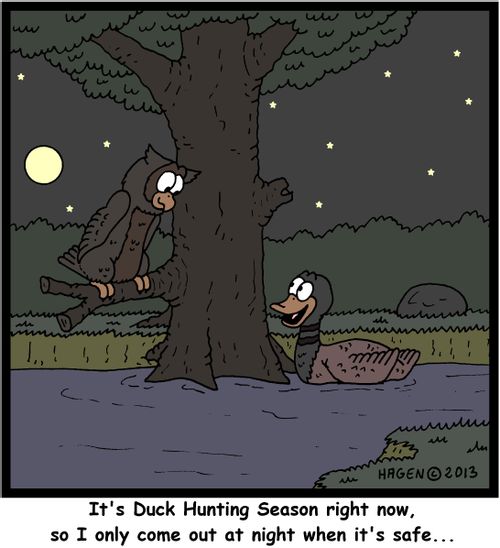 'It's Duck Hunting Season right now, so I only come out at night when it's safe...'