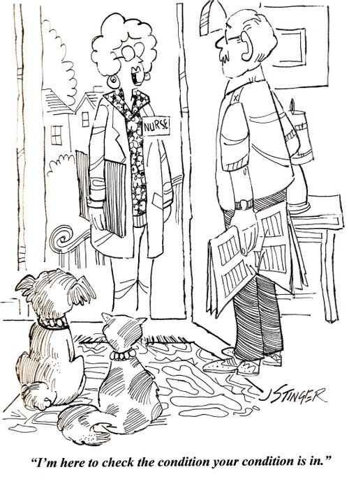 'I'm here to check the condition your condition is in.'