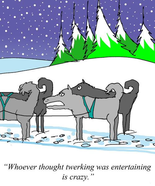 'Whoever thought twerking was entertaing is crazy.'