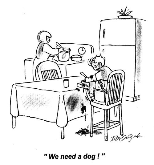 'We need a dog!'