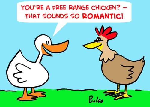 'You're a free range chicken? -- That sounds so romantic!'