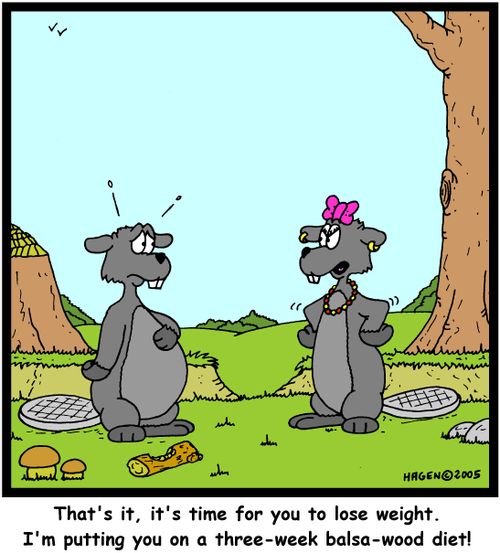 'That's it, it's time for you to lose weight. I'm putting you on a three-week balsa-wood diet!